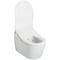 Toto RP D-SHAPE WALL HUNG BOWL WASHLET+  COTTON CT447CFGT60#01 - alternate 1